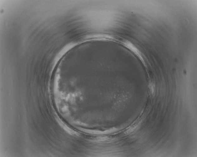 X0000070341482200606301728