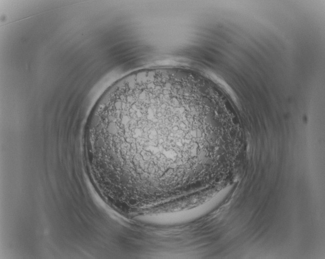 X0000070341483200606301728