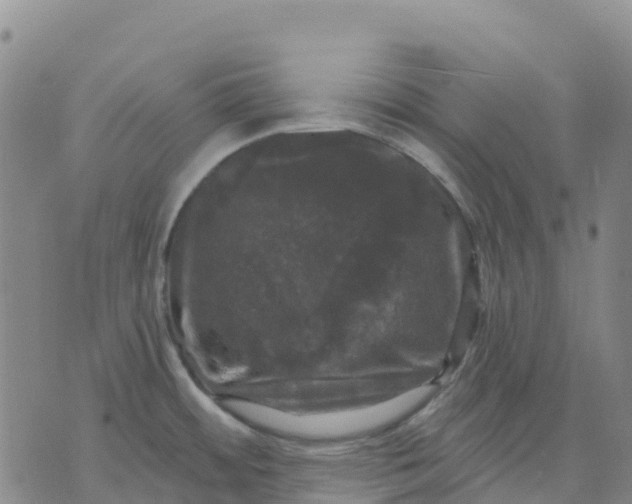 X0000070341484200606301728