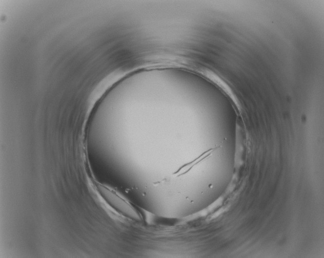 X0000070341485200606301728