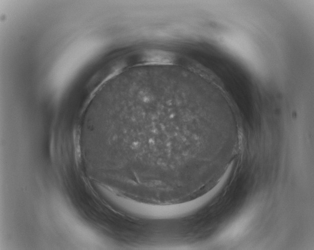 X0000070341487200606301728