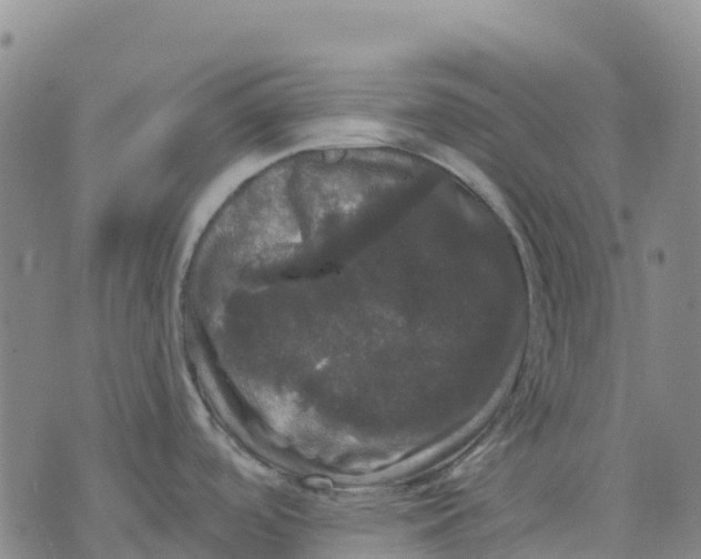 X0000070341488200606301728