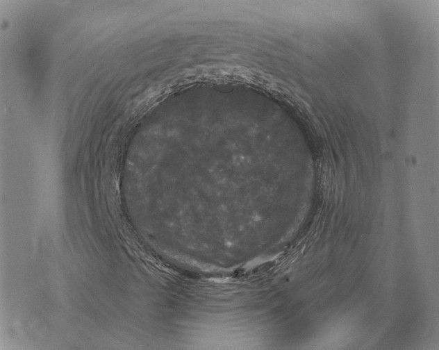 X0000070341489200606301727