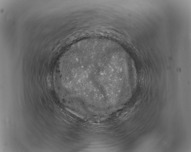 X0000070341490200606301727