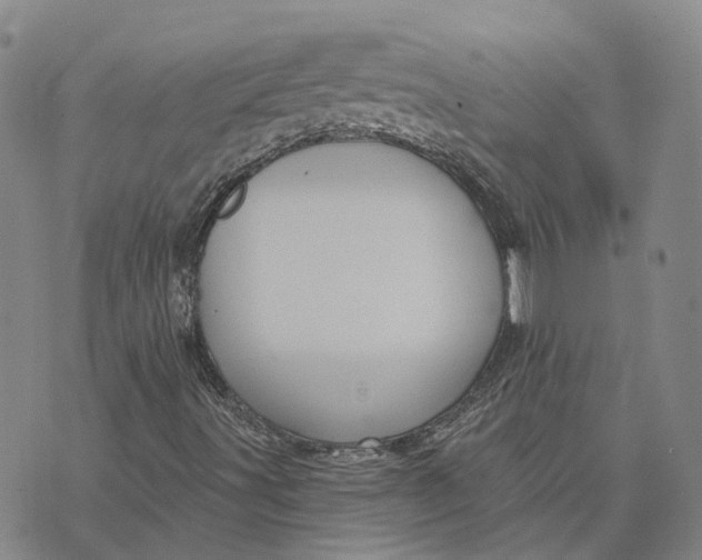 X0000070341491200606301727