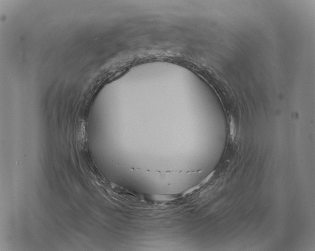 X0000070341492200606301727