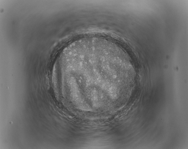 X0000070341493200606301727