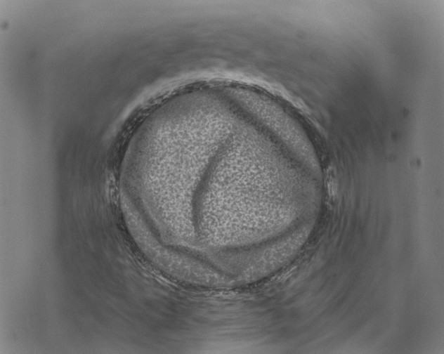 X0000070341495200606301727