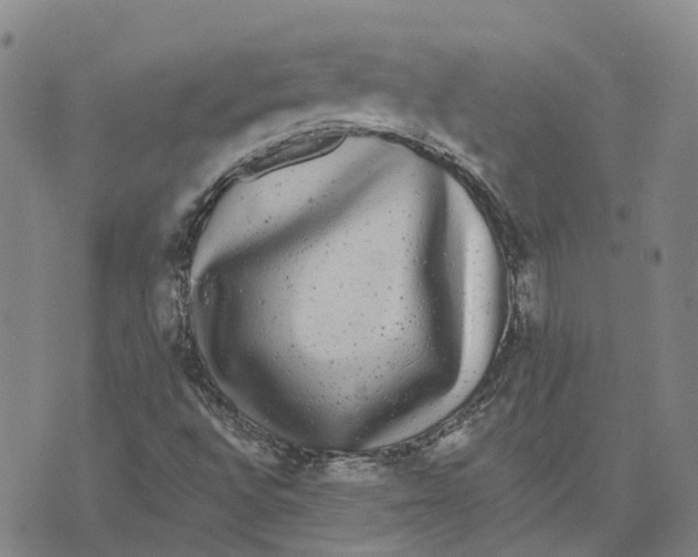 X0000070341496200606301727