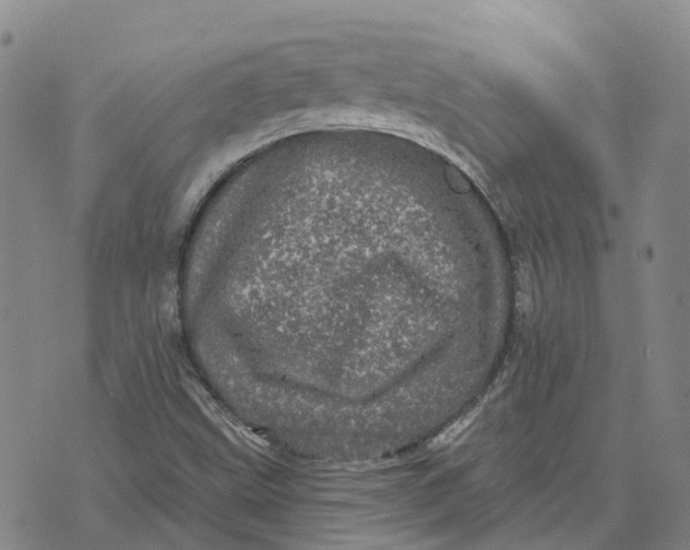 X0000070341499200606301727