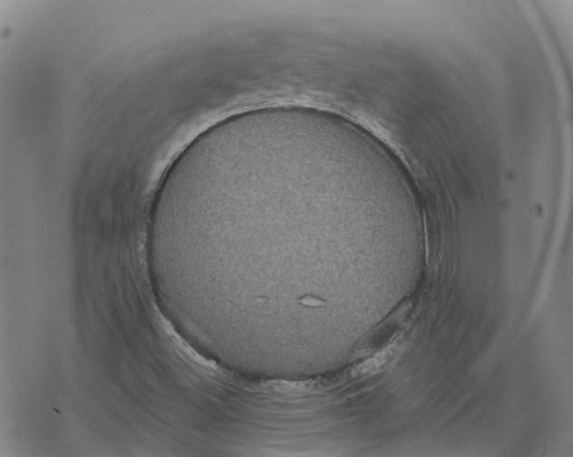 X0000070341500200606301728