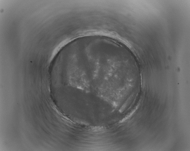 X0000070341501200606301728