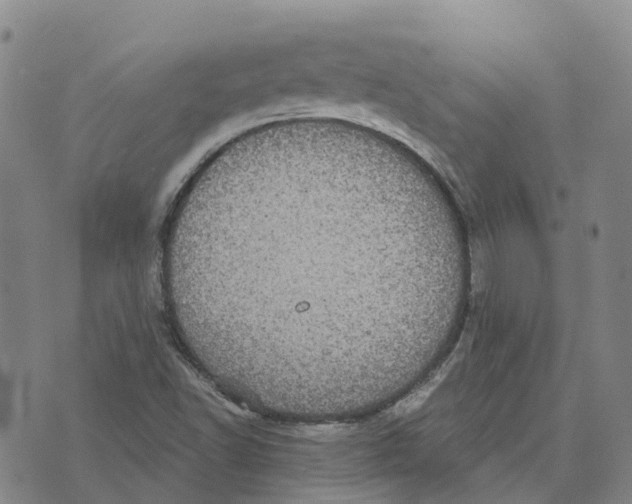 X0000070341502200606301728