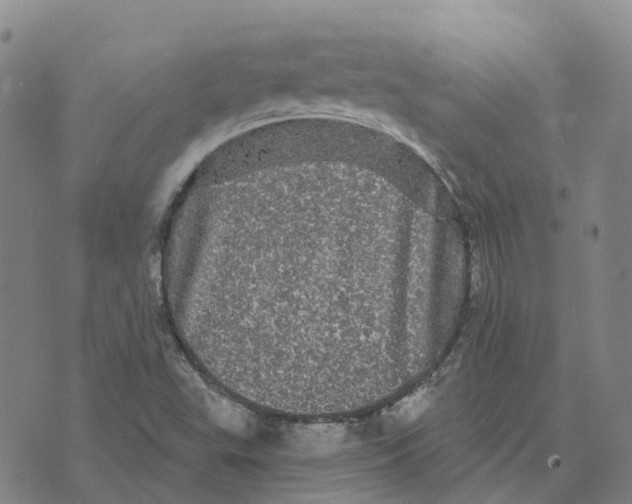 X0000070341503200606301728