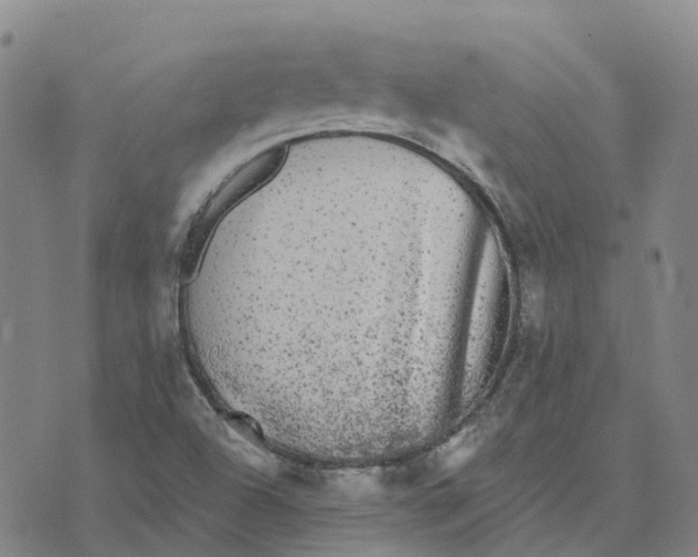 X0000070341504200606301728