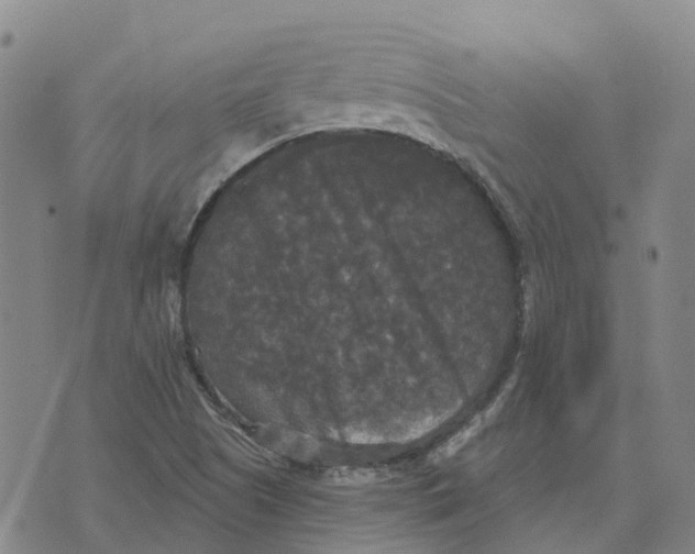 X0000070341505200606301728