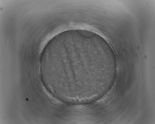 X0000070341507200606301728