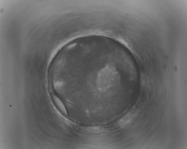 X0000070341508200606301728