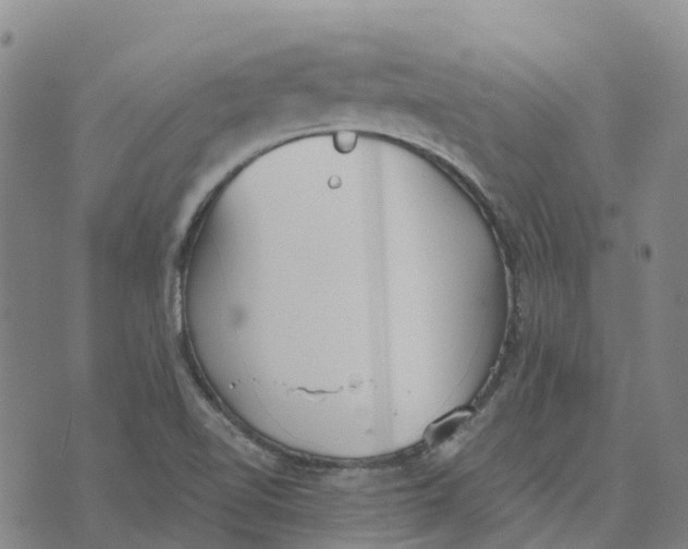 X0000070341510200606301728