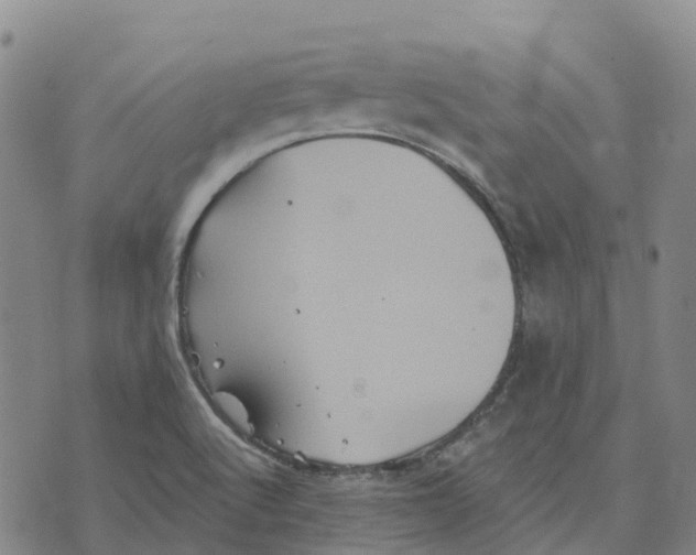 X0000070341512200606301728