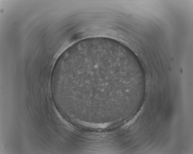 X0000070341513200606301728