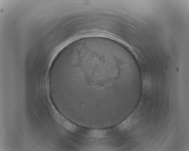 X0000070341514200606301728