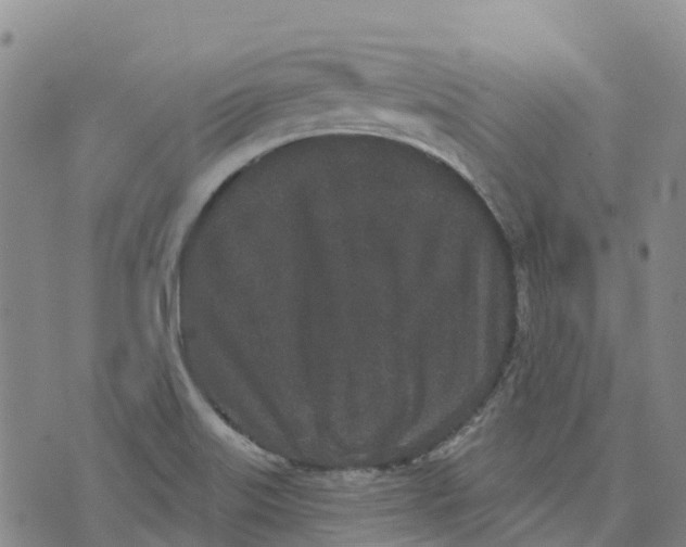 X0000070341515200606301728