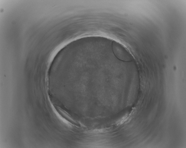 X0000070341519200606301728