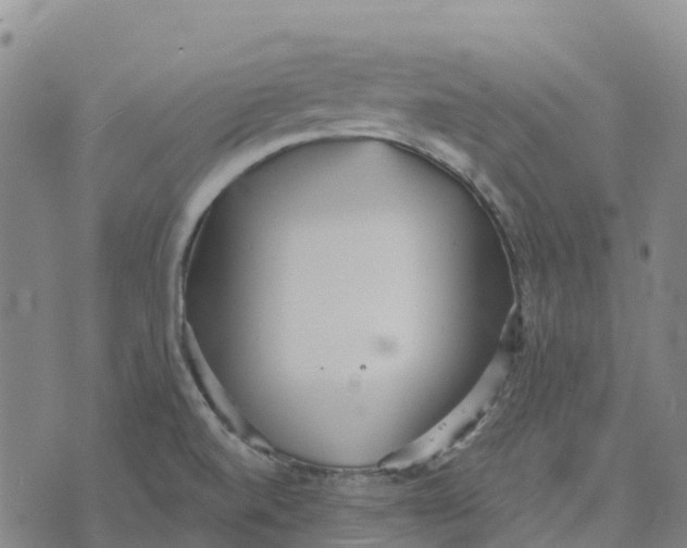 X0000070341520200606301728