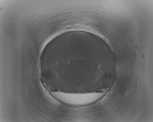 X0000070341522200606301728