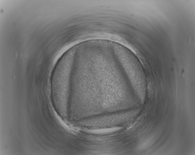 X0000070341523200606301728