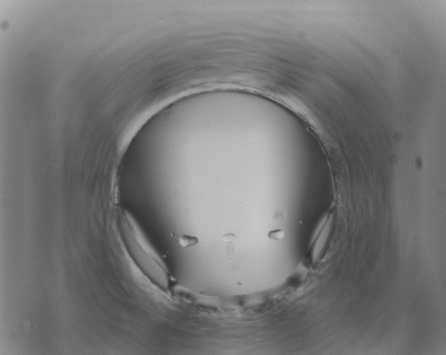 X0000070341524200606301728