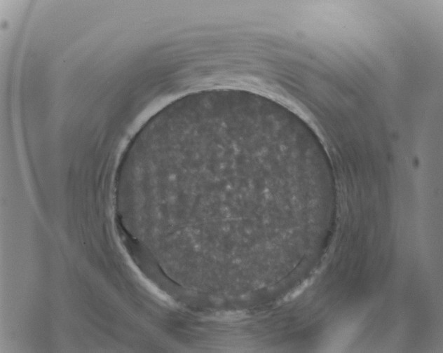 X0000070341525200606301728