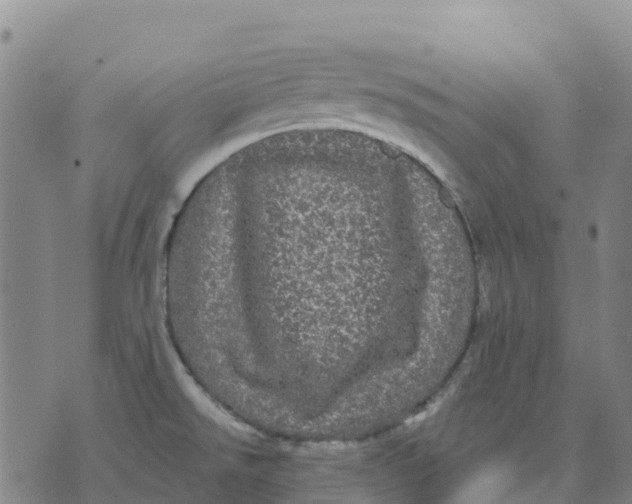 X0000070341526200606301728