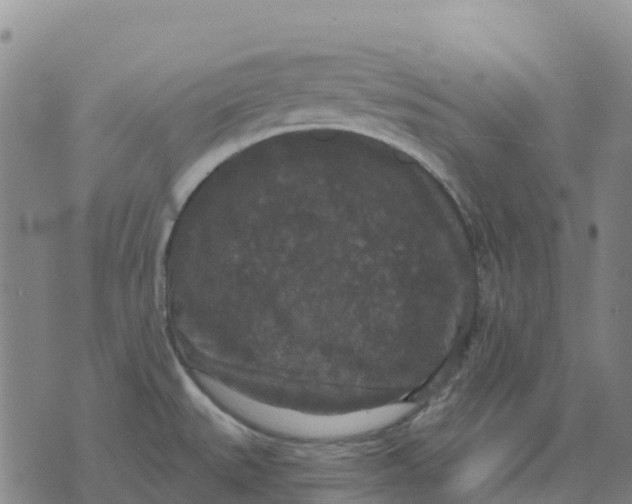 X0000070341527200606301728