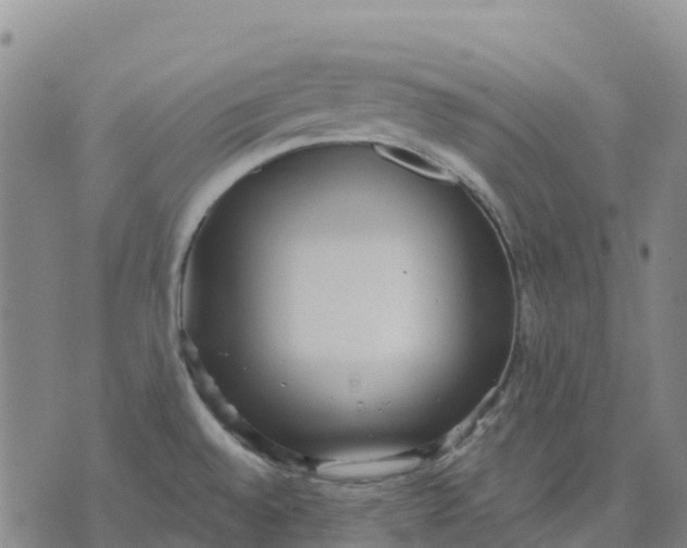 X0000070341528200606301728