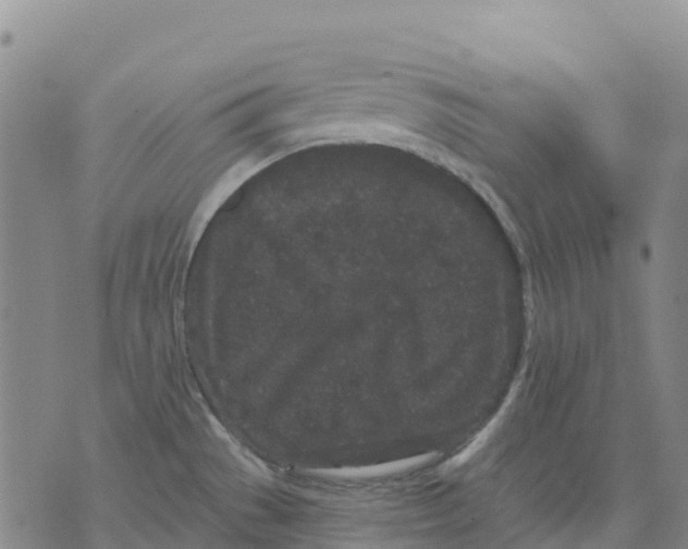 X0000070341529200606301728