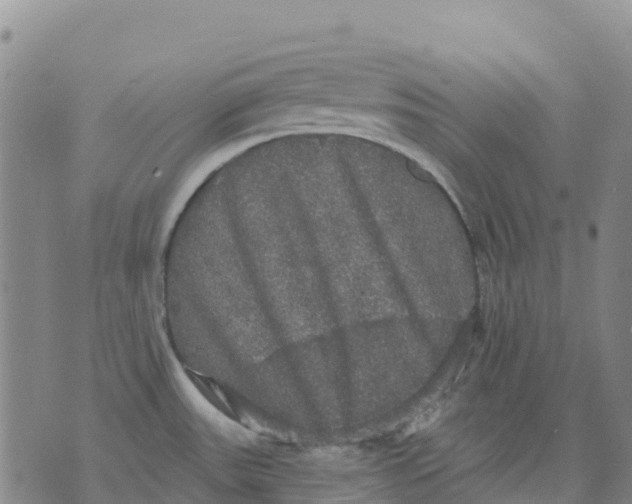 X0000070341531200606301728