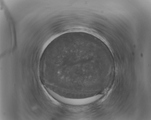 X0000070341533200606301728