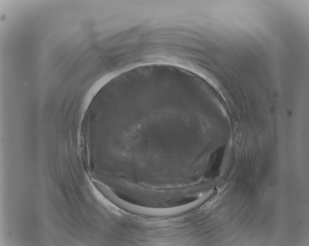 X0000070341535200606301728