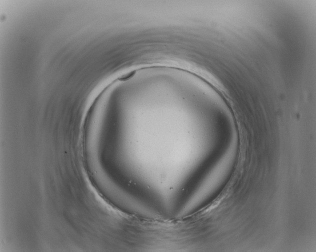 X0000070341536200606301728