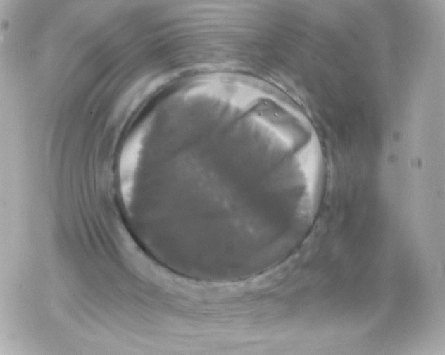 X0000070340002200607072024