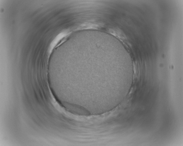 X0000070340003200607072024