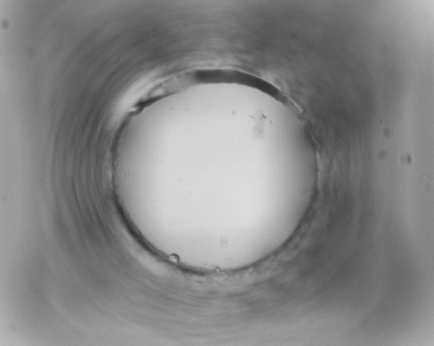 X0000070340005200607072024