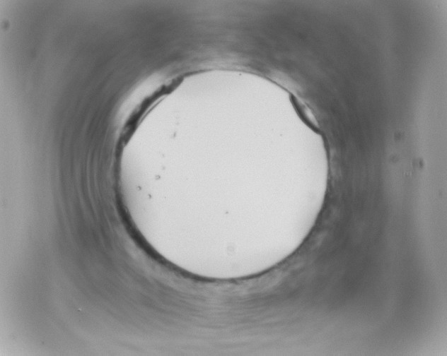 X0000070340007200607072024