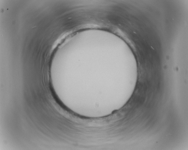 X0000070340011200607072024