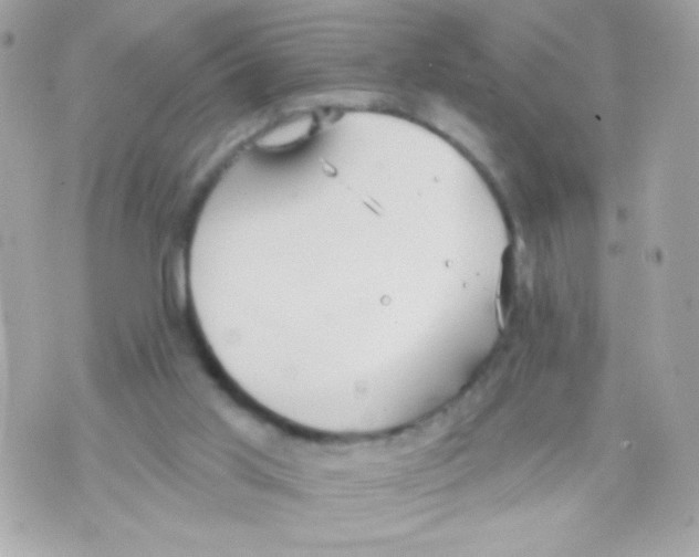 X0000070340013200607072024