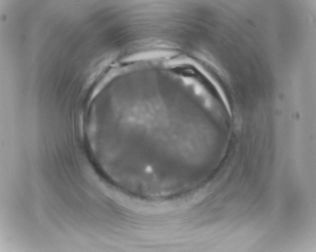 X0000070340014200607072024