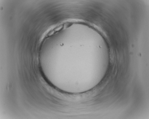 X0000070340015200607072024