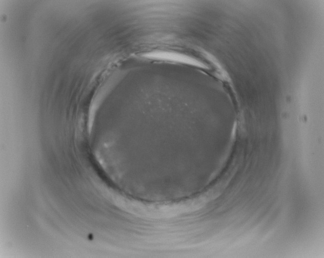 X0000070340018200607072024